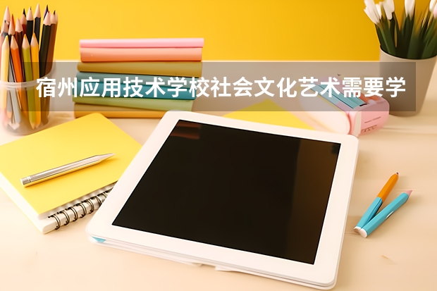 宿州应用技术学校社会文化艺术需要学哪些课程 专业能力要求是什么