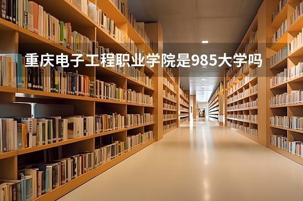 重庆电子工程职业学院是985大学吗