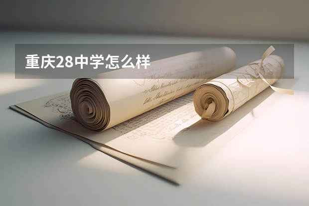 重庆28中学怎么样